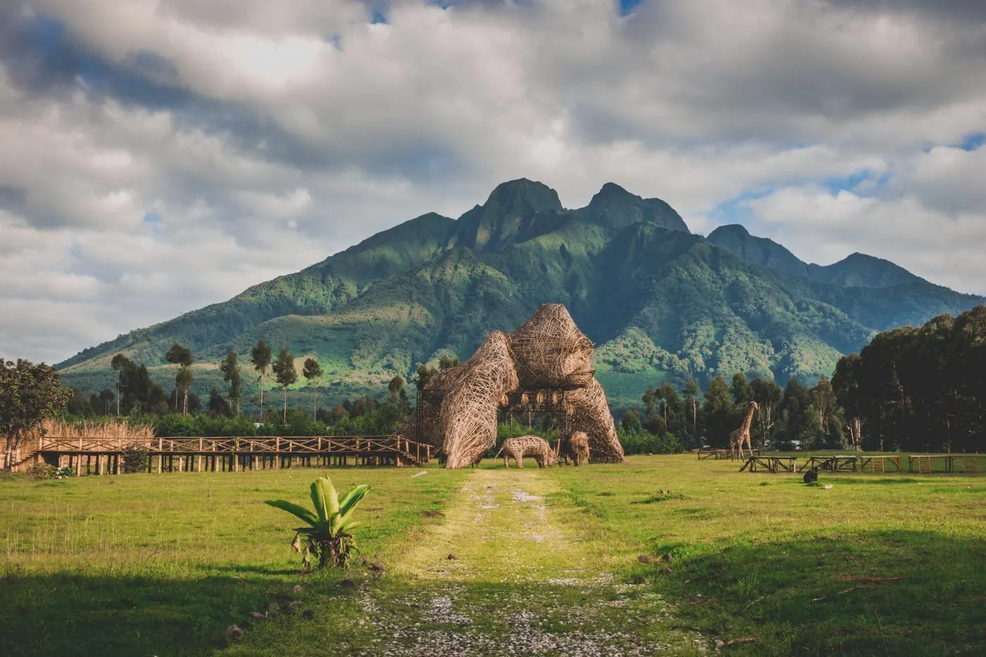 The Kwita Izina ceremony grounds in Kinigi, with Mount Sabyinyo behind