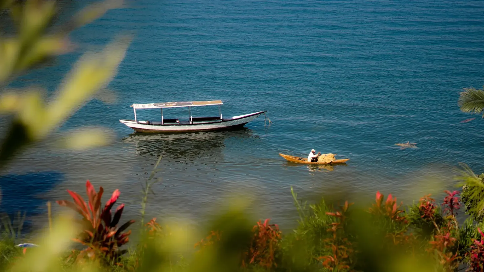 A boat and a small canoe on Lake Kivu, seen through lakeside flowers