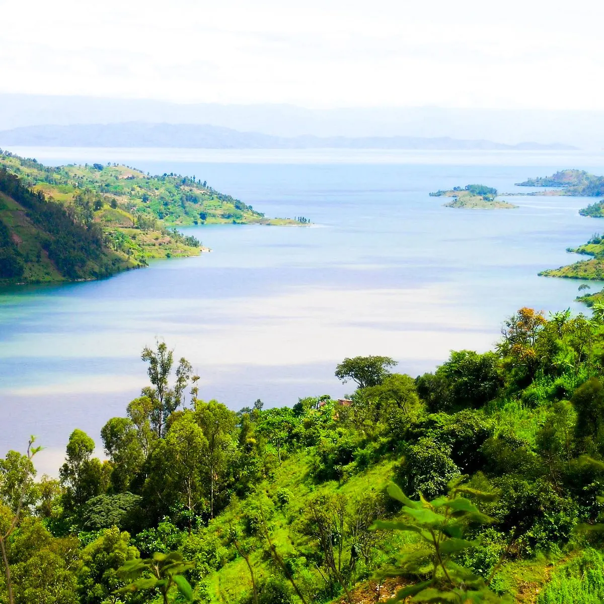 Green islands on Lake Kivu, Rwanda